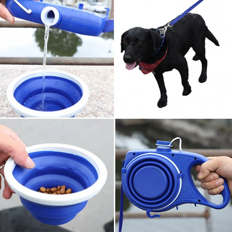 Portable pet travel water bottle and leash set