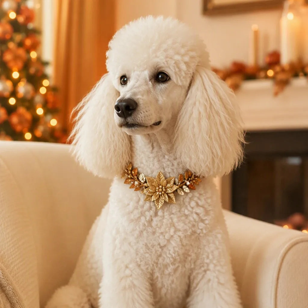 PawNest Handmade Golden Christmas Dog Collar | Festive Holiday Pet Style - Pet Care Store