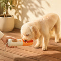 PawNest 3-in-1 Portable Dog Water Bottle & Snack Cup