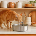 Stainless Steel Wireless Sensor Pet Water Fountain