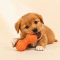 PawNest Rubber Treat Dispenser Dog Toy | Gourd-Shaped Chew & Enrichment
