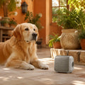 Long-Range Vibration & Beep Dog Training Collar