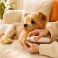 Low-Noise Electric Pet Nail Grinder