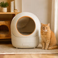 Minimalist Self-Cleaning Cat Litter Box