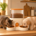 Smart WiFi 4L Automatic Pet Feeder