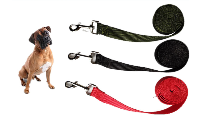 Long Dog Rope Leash, 2.5 cm Wide Training Lead for Outdoor Walks - image 8