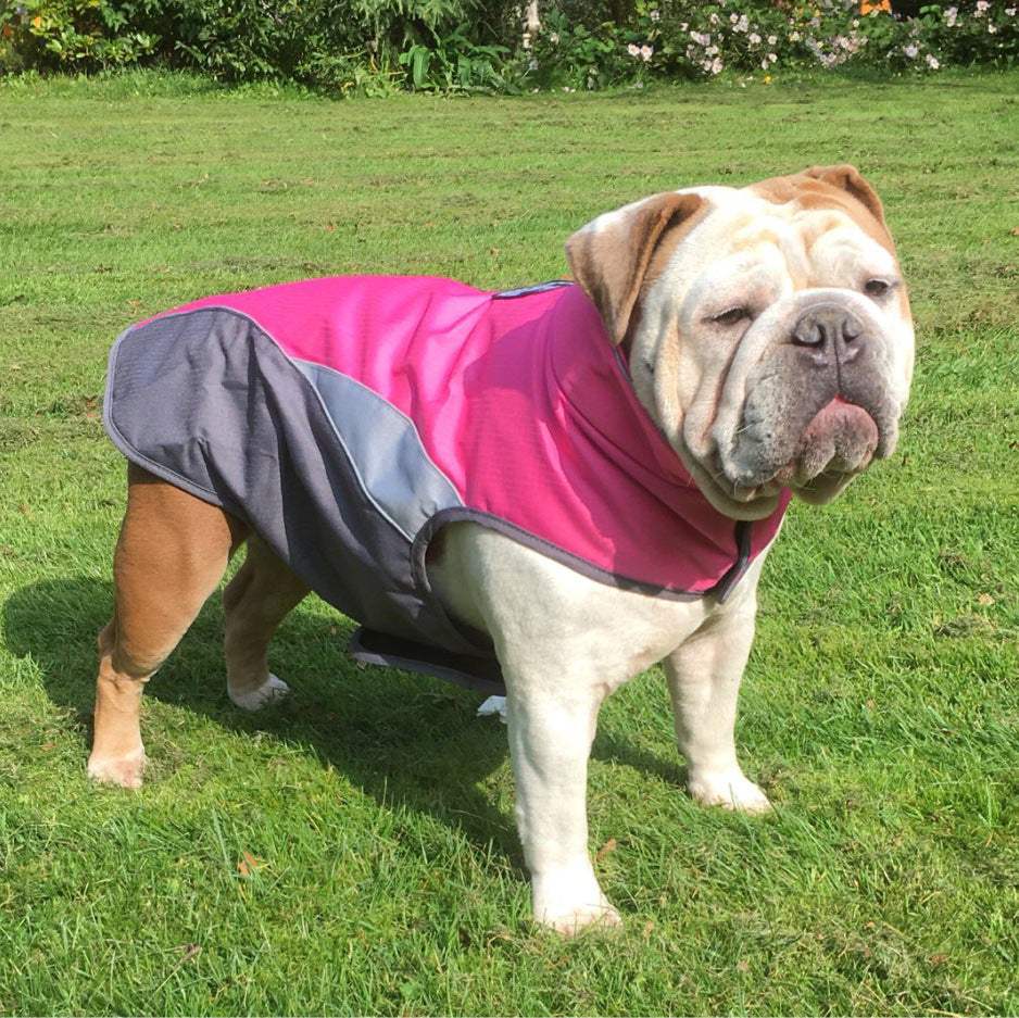 Waterproof Dog Raincoat and Insulated Outdoor Pet Jacket - image 3